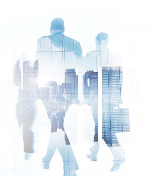 Enterprise Solution Providers